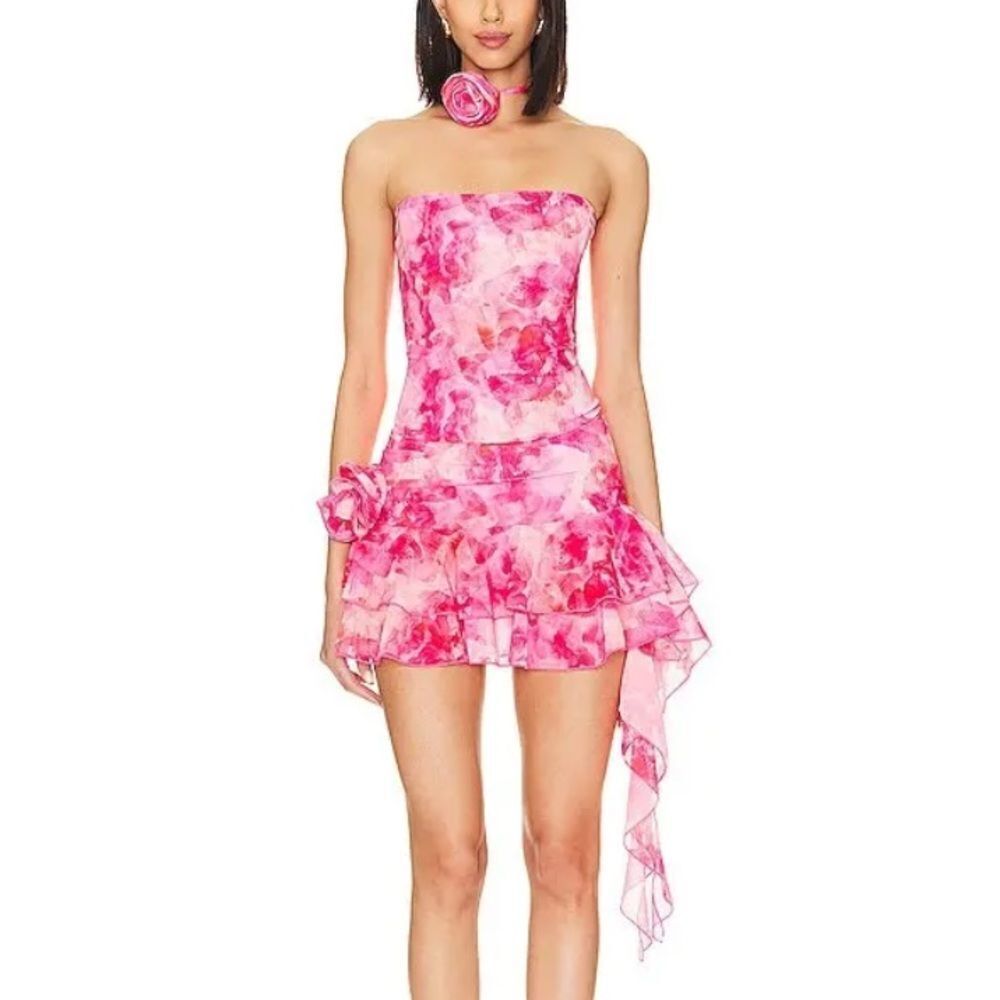 NWT SUPERDOWN Mila Corset Set Pink print mesh mini dress top skirt Revolve XS